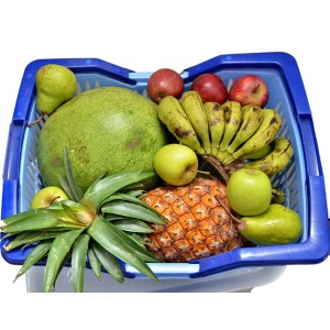 Fruit Basket - small