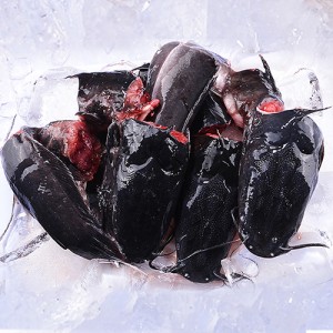 Catfish Fresh whole - cut -Pack of 3 (Medium Size)